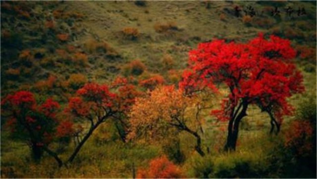 Kanbula National Park