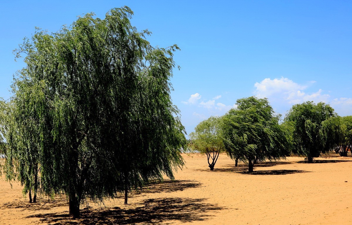 黄河古渡码头故址