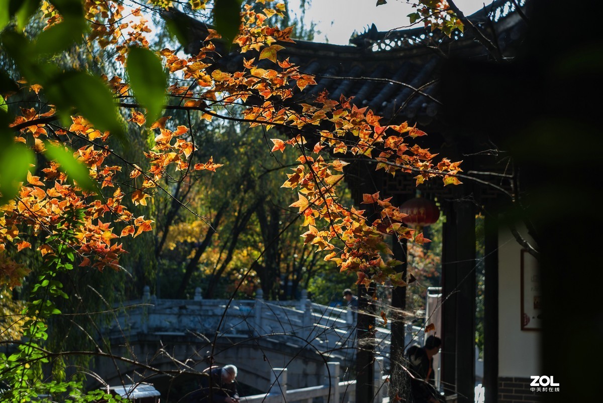 现在还有人用k200d拍照吗？