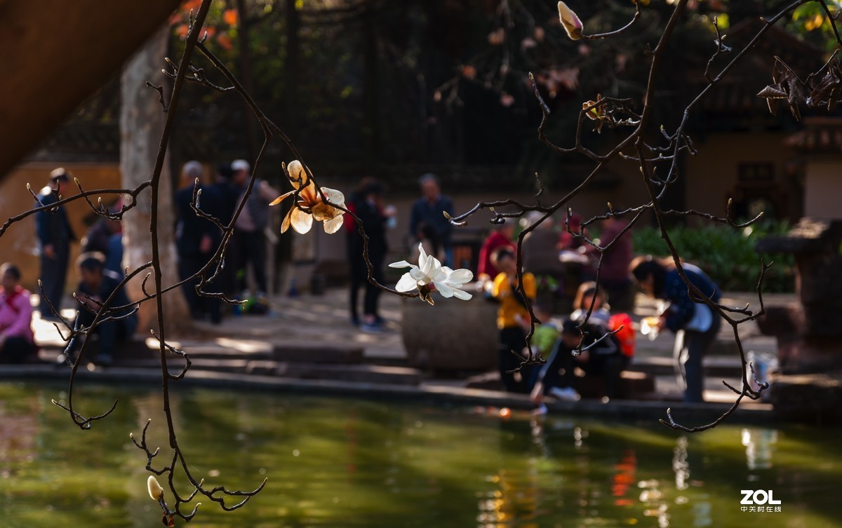 现在还有人用k200d拍照吗？