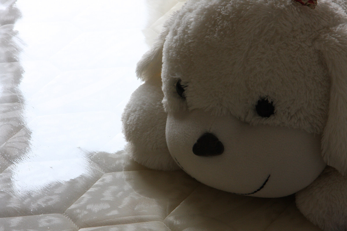 偏振镜实战记录