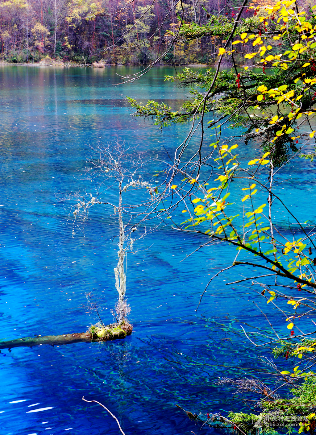 九寨沟水的色彩