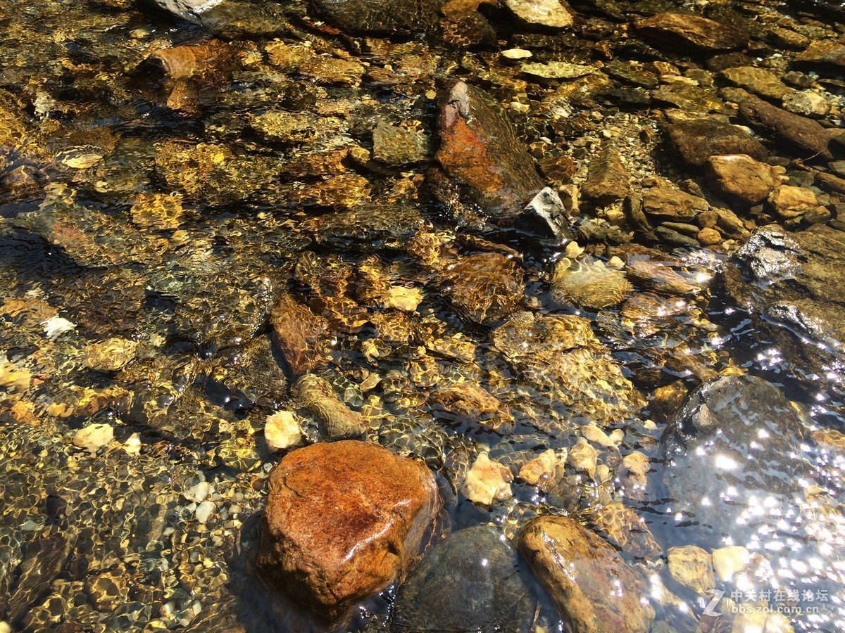 家乡小河之醉美上林