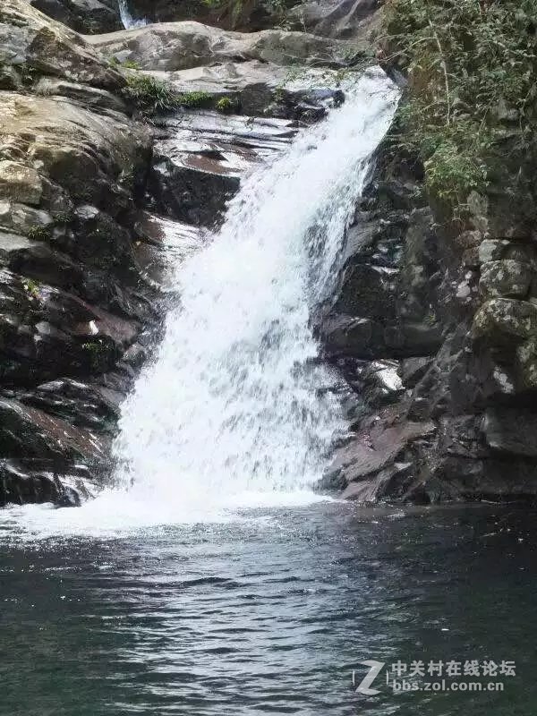 山奇水秀物稀的大山深处-颐乡缘茶业-寻茶之旅。