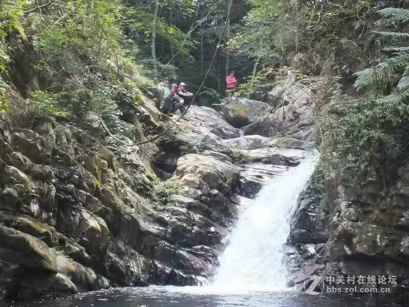 山奇水秀物稀的大山深处-颐乡缘茶业-寻茶之旅。