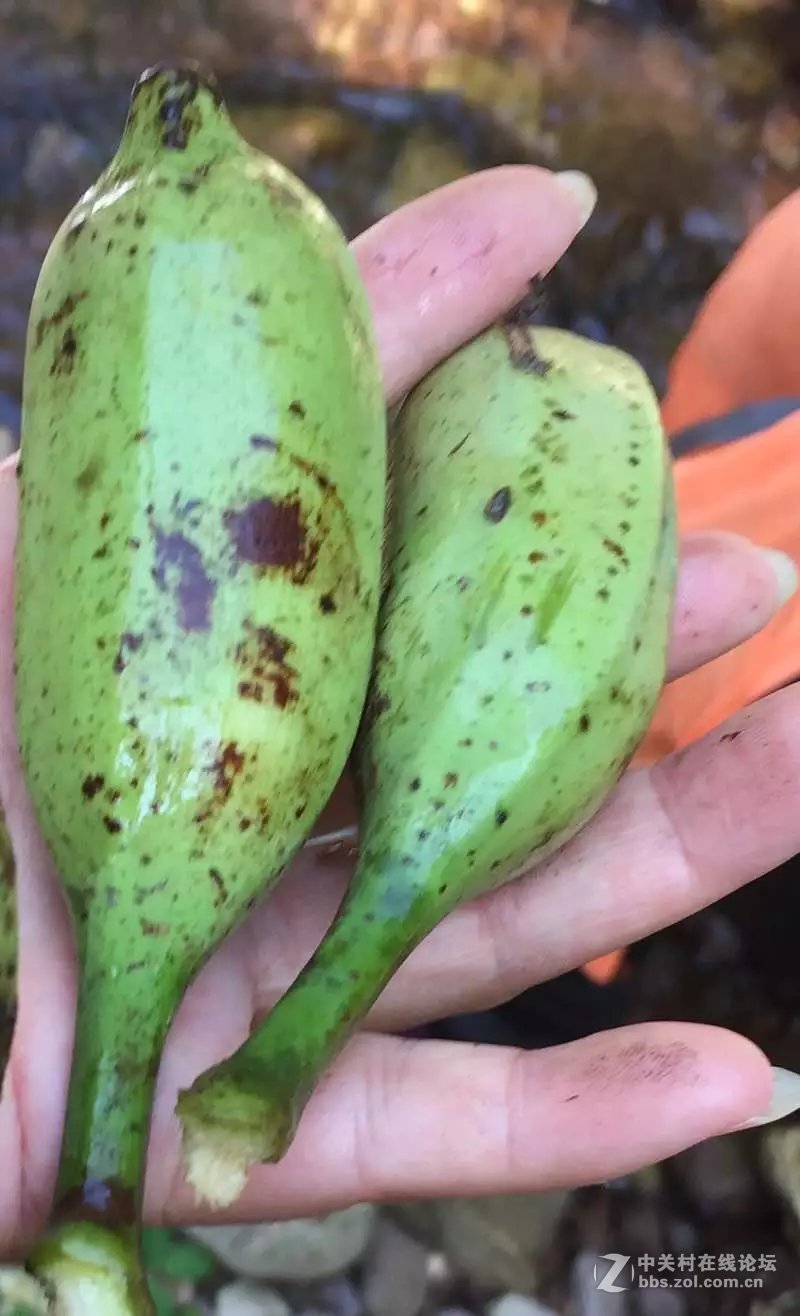 山奇水秀物稀的大山深处-颐乡缘茶业-寻茶之旅。