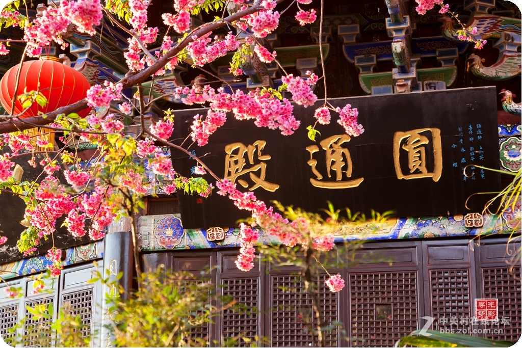 走近佛家——西昌光福寺