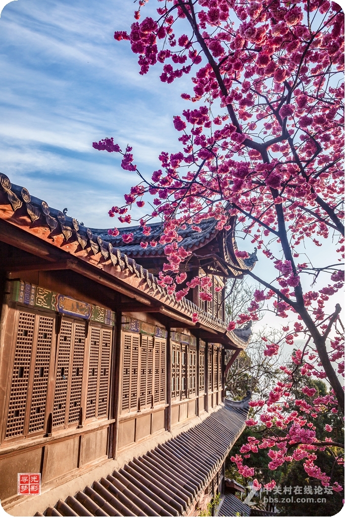 走近佛家——西昌光福寺