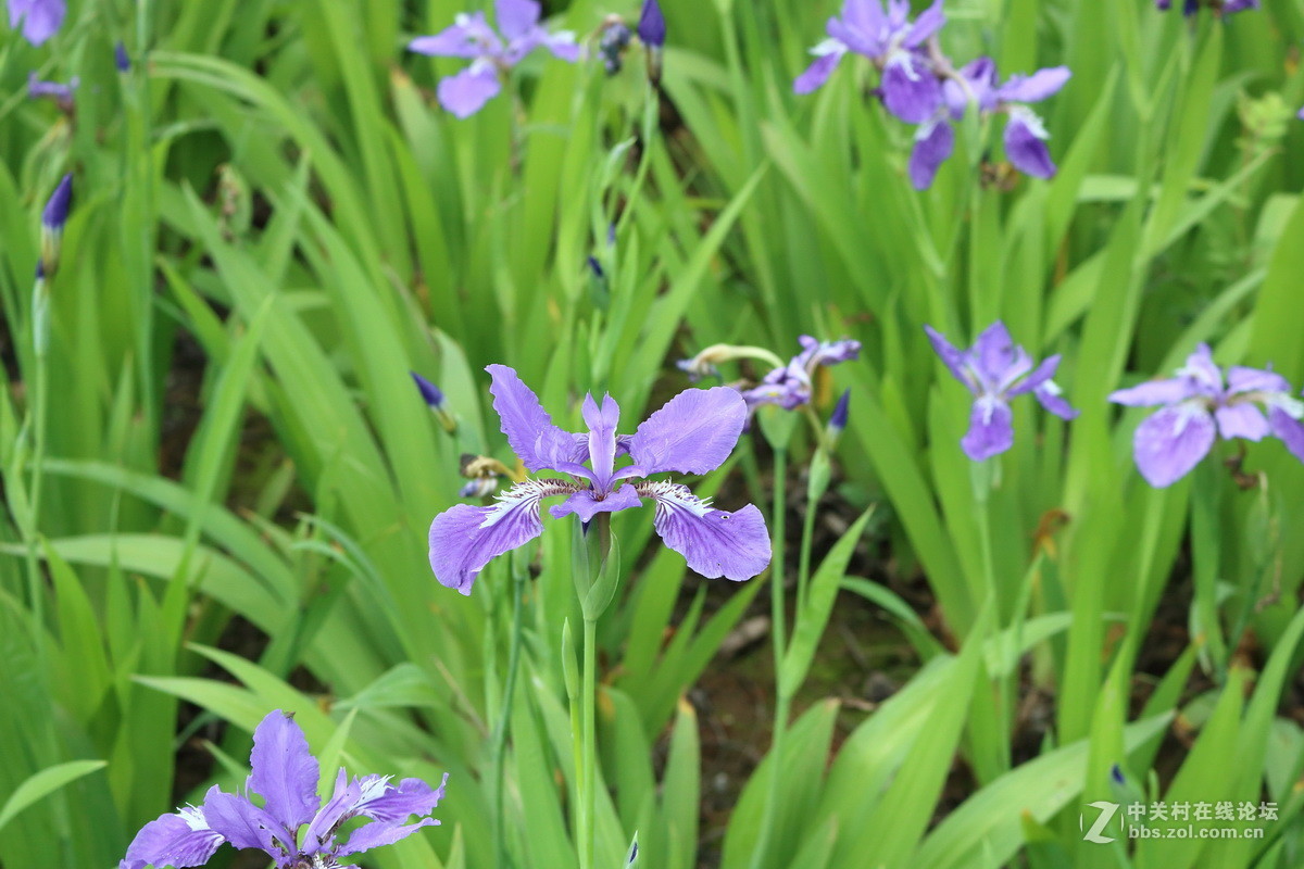 #佳能月赛-人间四月天#春日阳光正好，心情亦正好