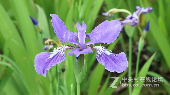 #佳能月赛-人间四月天#春日阳光正好，心情亦正好