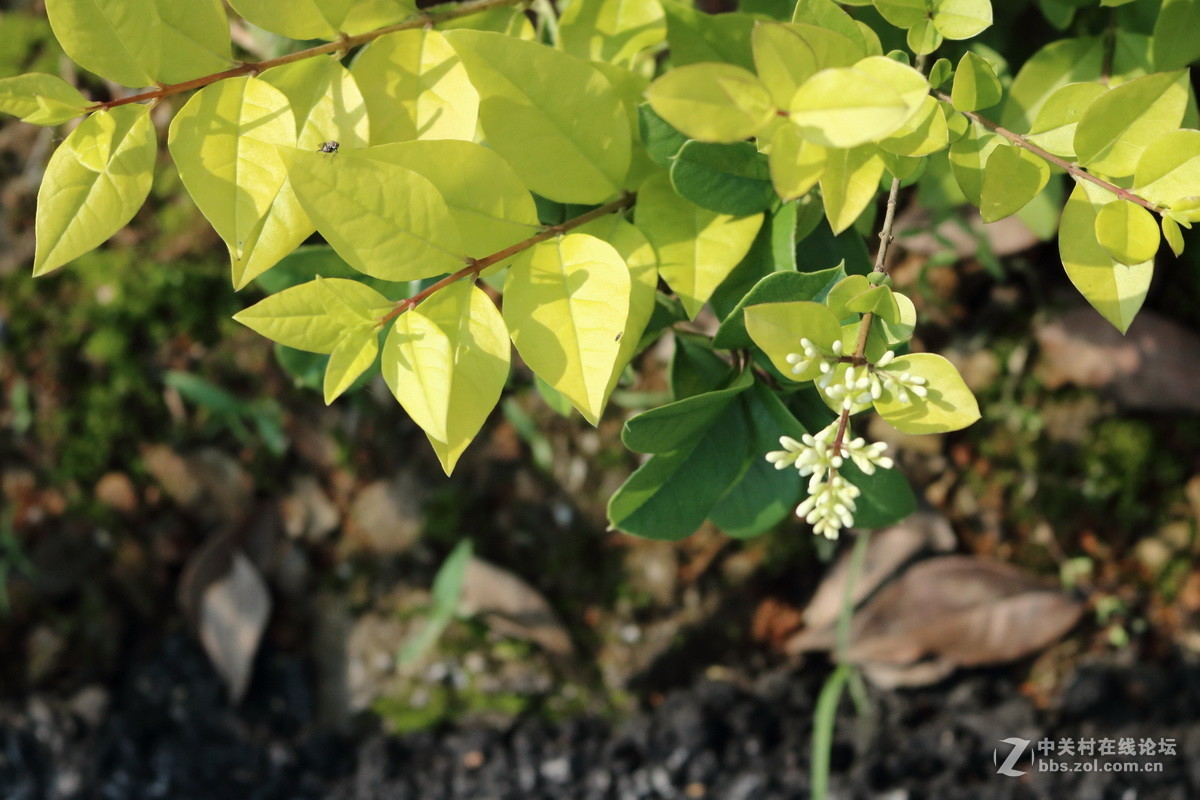 #佳能月赛-人间四月天#春日阳光正好，心情亦正好