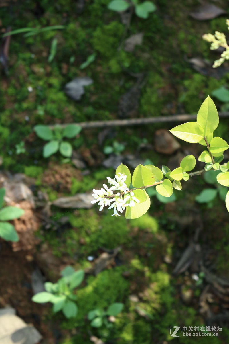 #佳能月赛-人间四月天#春日阳光正好，心情亦正好