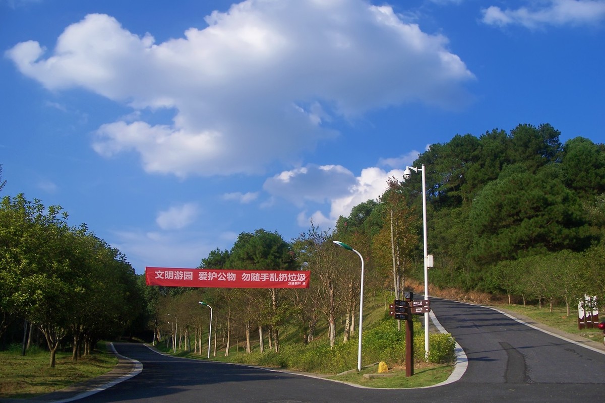 节日酸鬼围绕城区转一圈