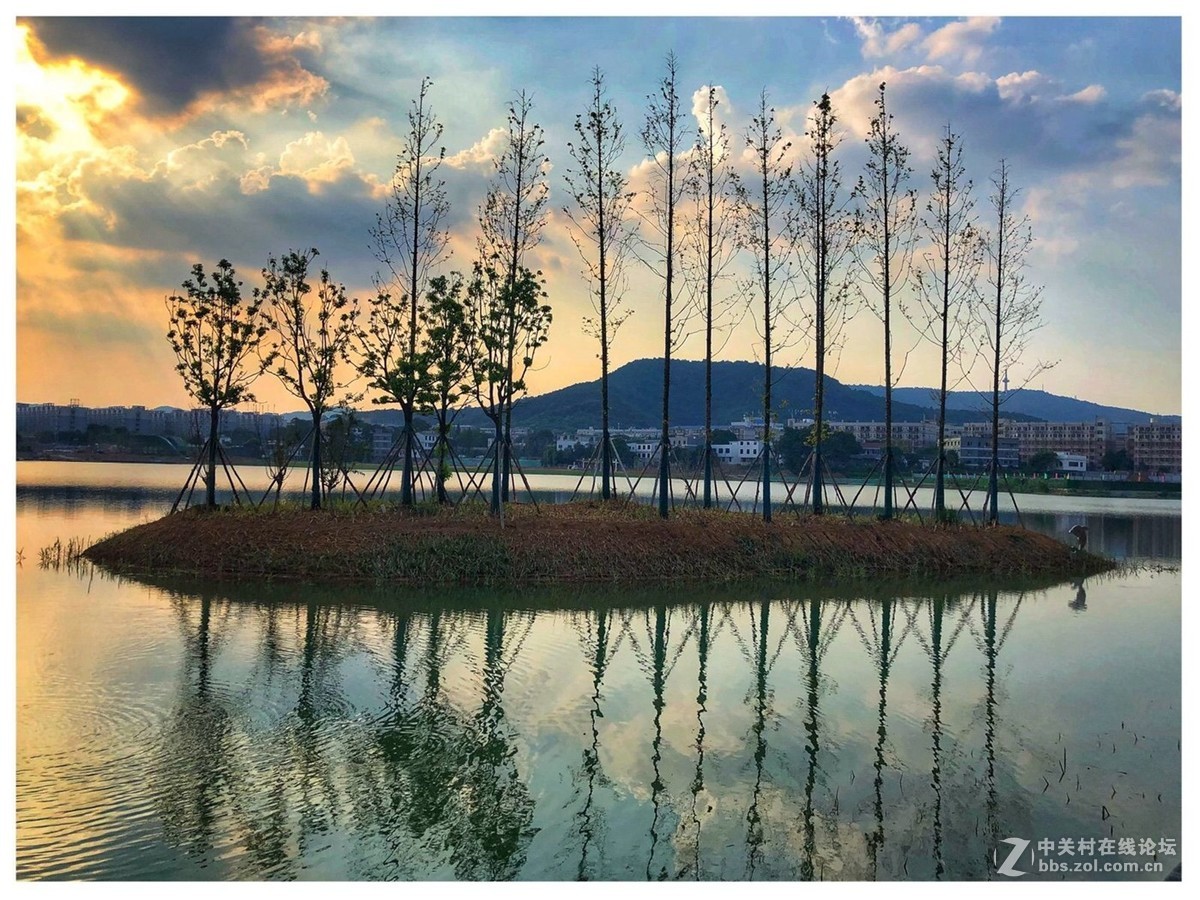 长沙后湖风景-中关村在线摄影论坛
