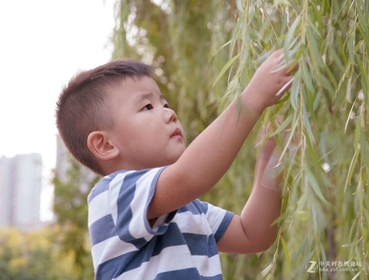 图图小宝宝。。。。。。。