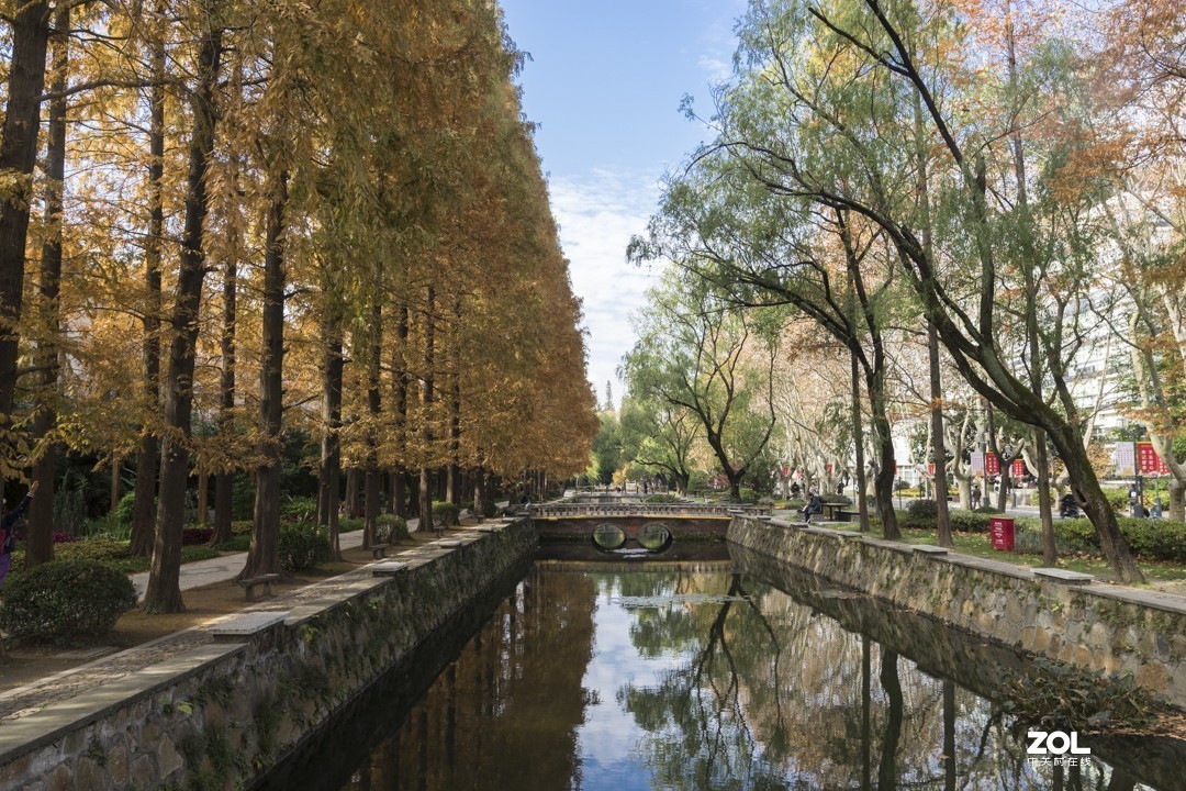 A7 +15-30 同济随拍