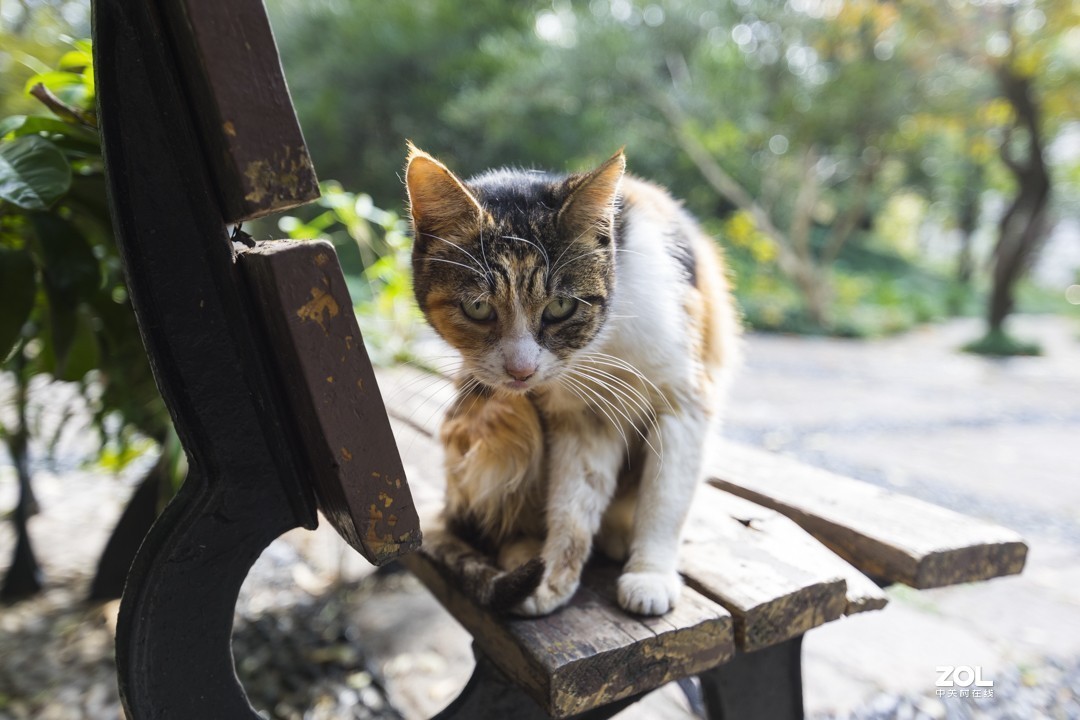 A7 +15-30 同济随拍