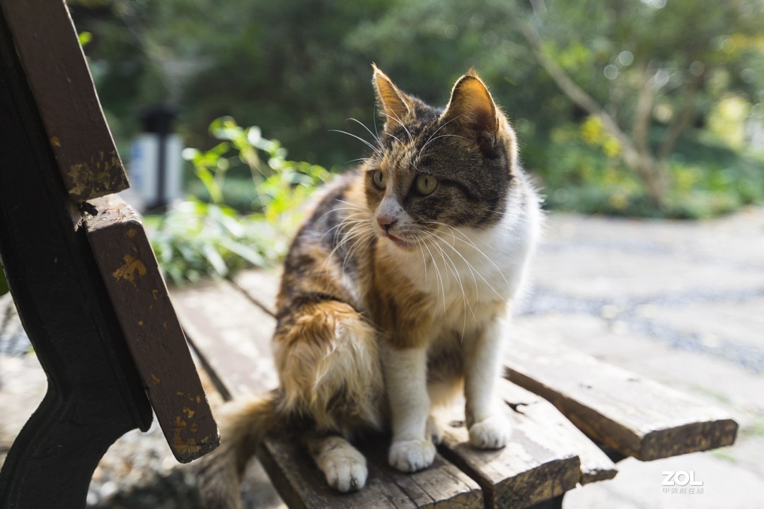 A7 +15-30 同济随拍