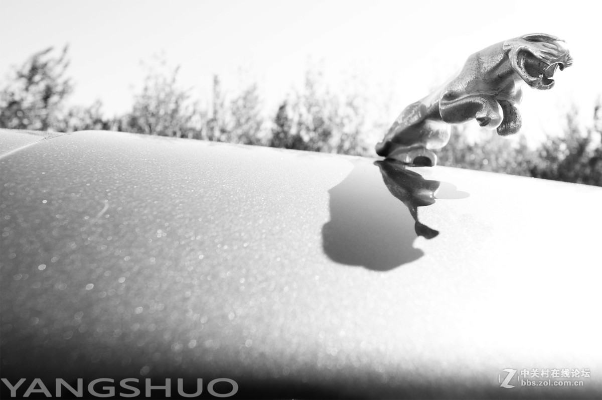 曾出现在教科书上！这一辈子没看过，以后也几乎看不到的车！