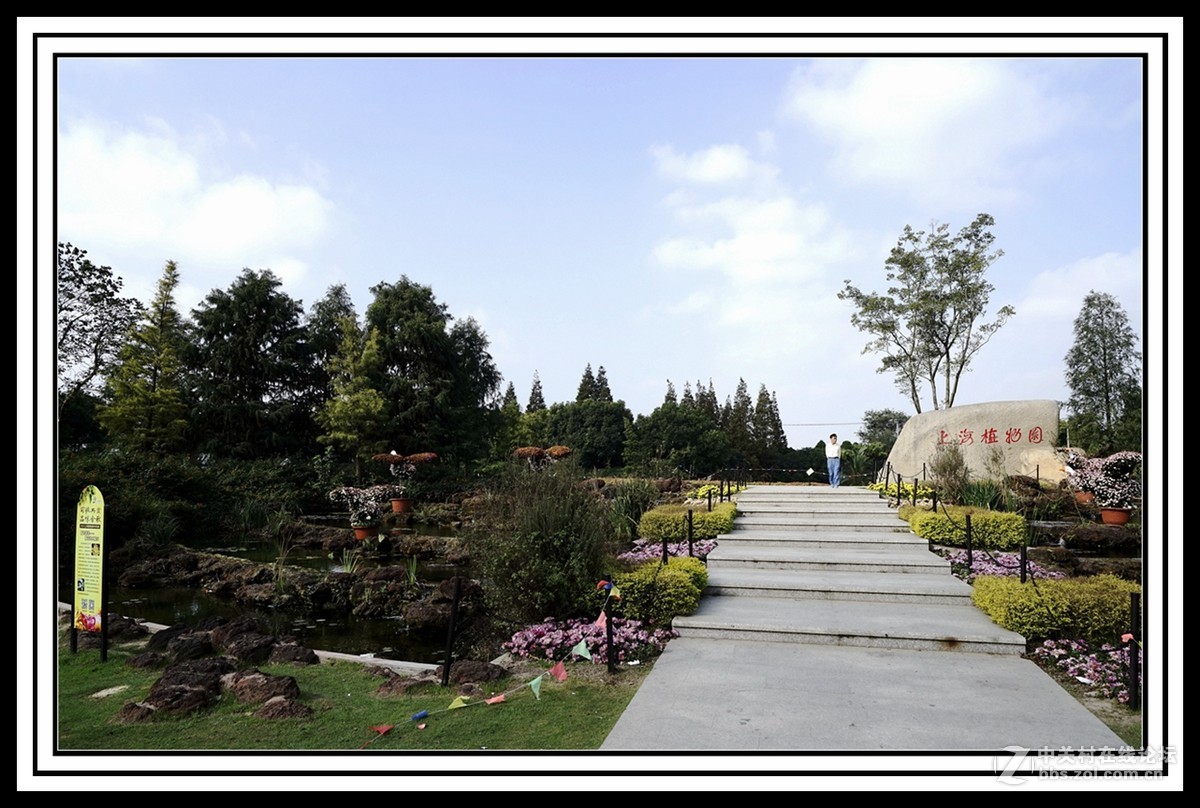 上海植物园时的园艺风景