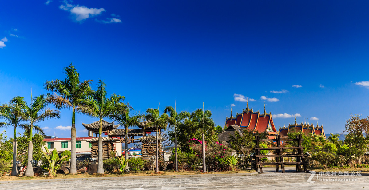 西双版纳印象行-中关村在线摄影论坛