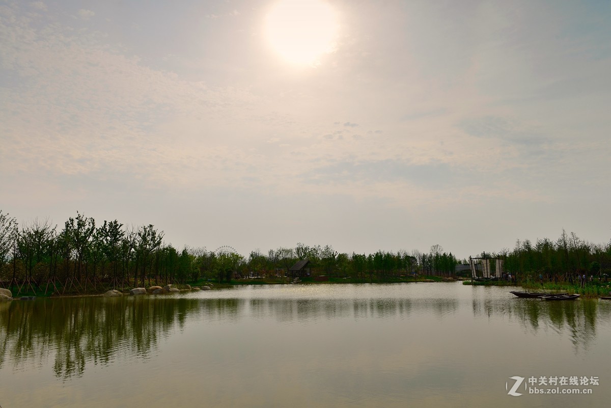 第九届江苏省园艺博览会 3