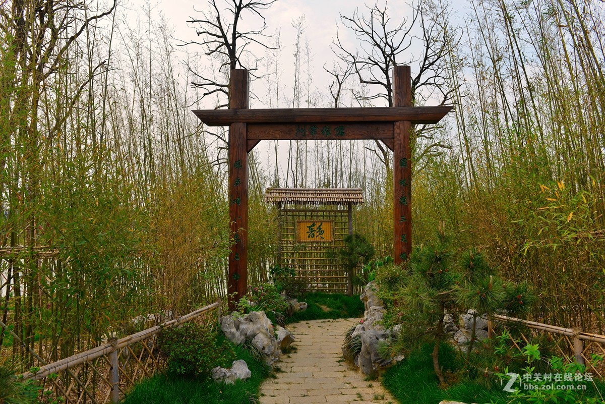 第九届江苏省园艺博览会 3