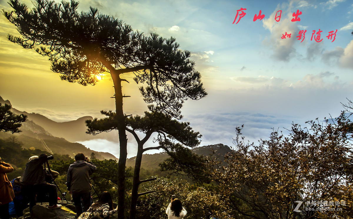 不识庐山真面目