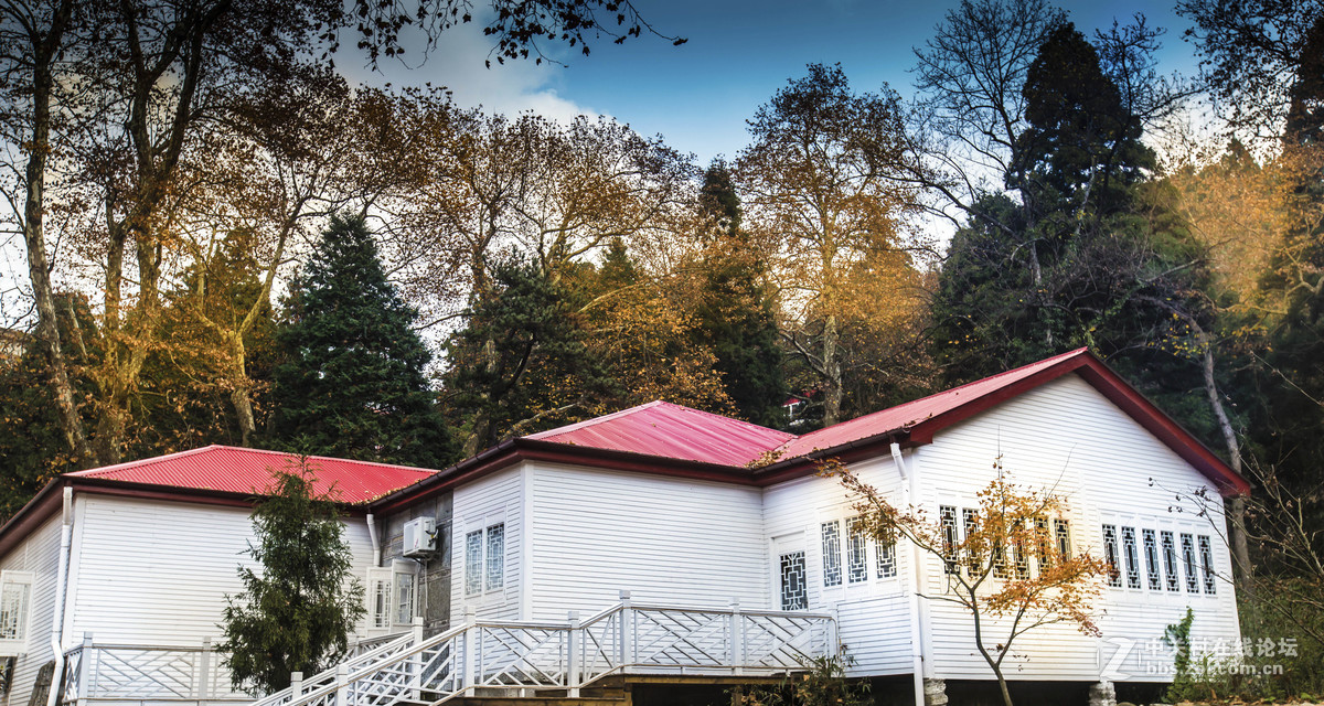 不识庐山真面目