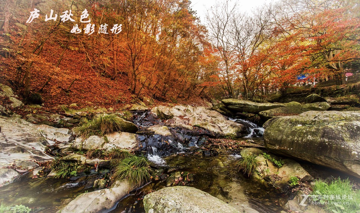 不识庐山真面目
