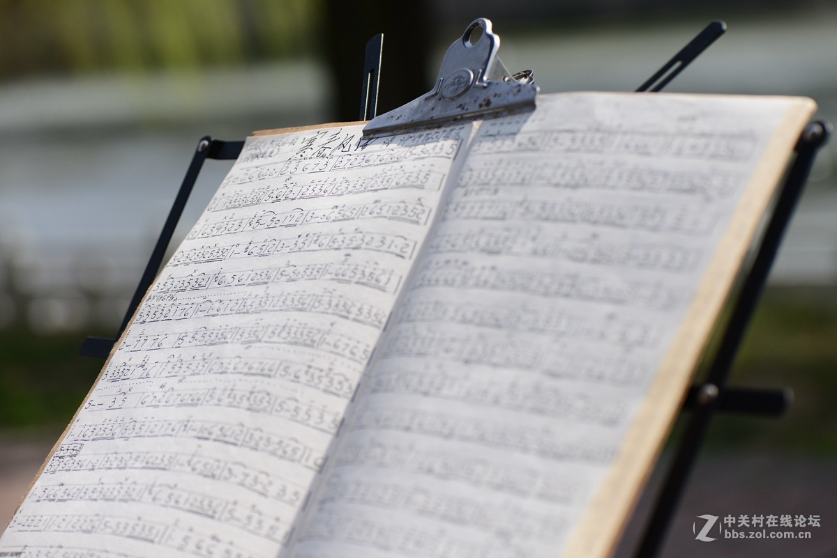 一组风光、小景随拍——在春天的脚步声里