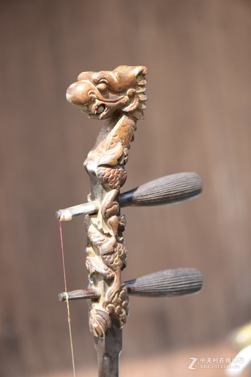 一组风光、小景随拍——在春天的脚步声里