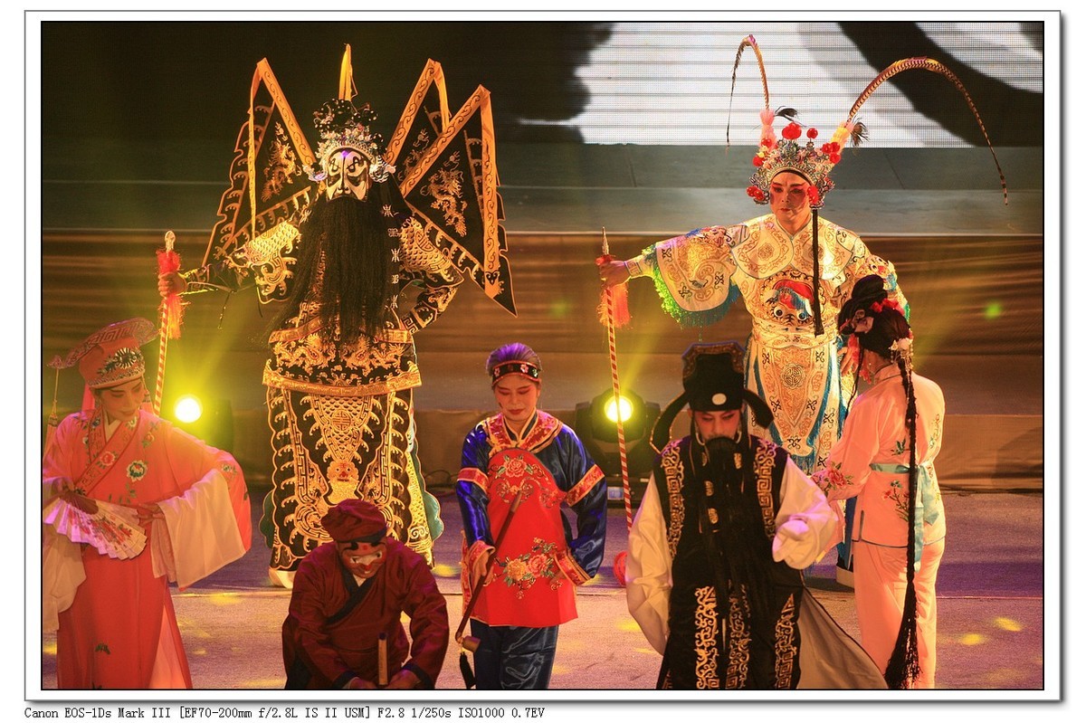 人文纪实  岁岁重阳  今又重阳（续）