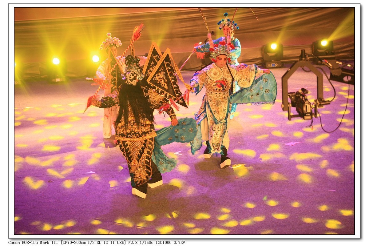 人文纪实  岁岁重阳  今又重阳（续）