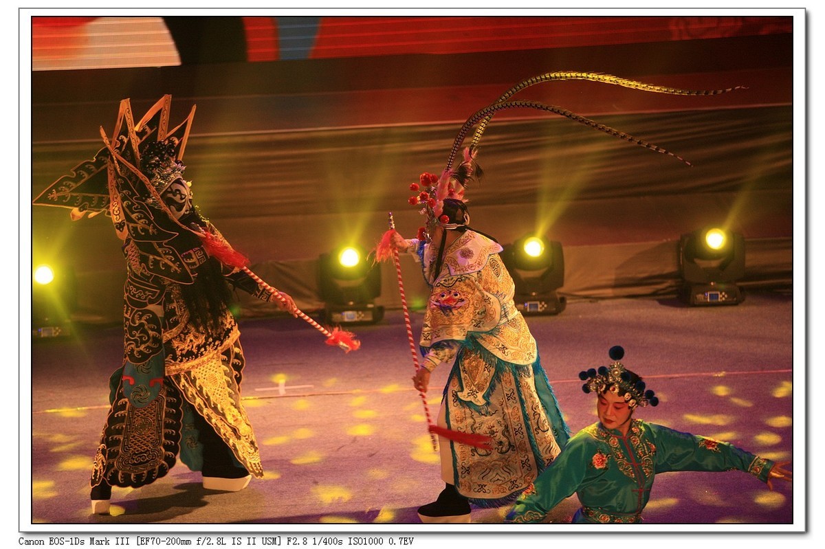 人文纪实  岁岁重阳  今又重阳（续）