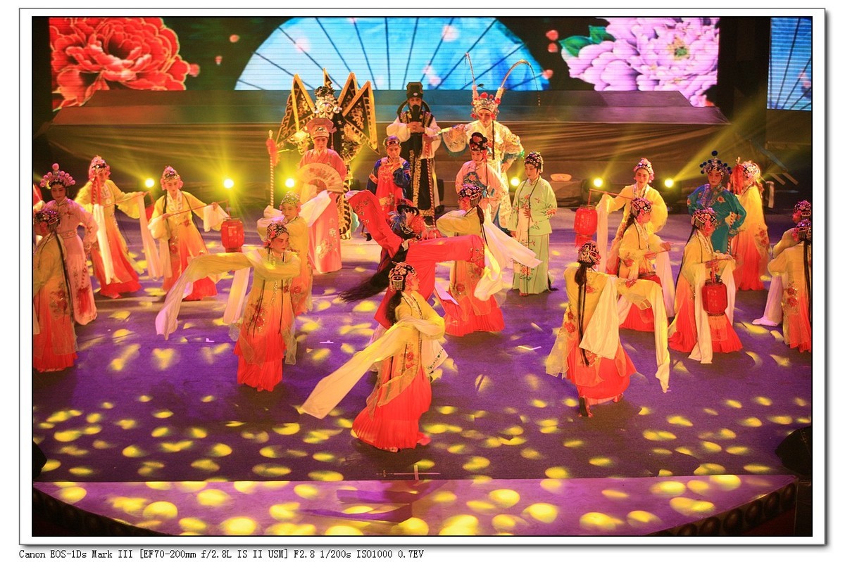 人文纪实  岁岁重阳  今又重阳（续）