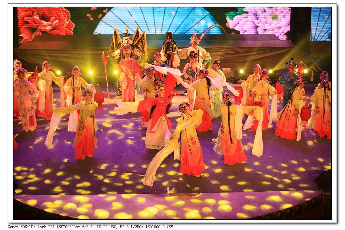 人文纪实  岁岁重阳  今又重阳（续）