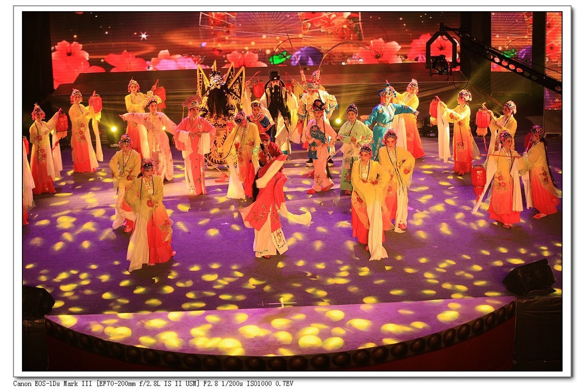 人文纪实  岁岁重阳  今又重阳（续）