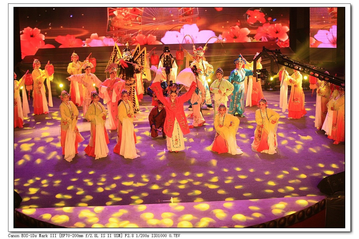 人文纪实  岁岁重阳  今又重阳（续）