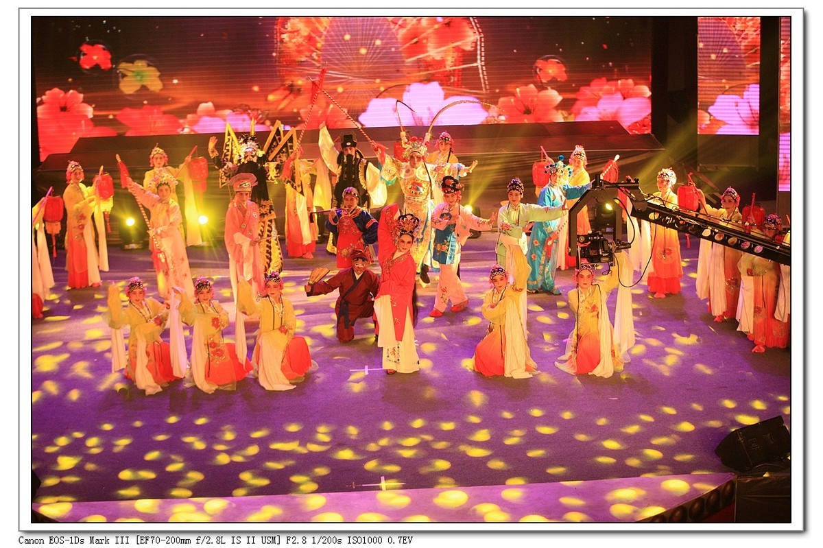 人文纪实  岁岁重阳  今又重阳（续）