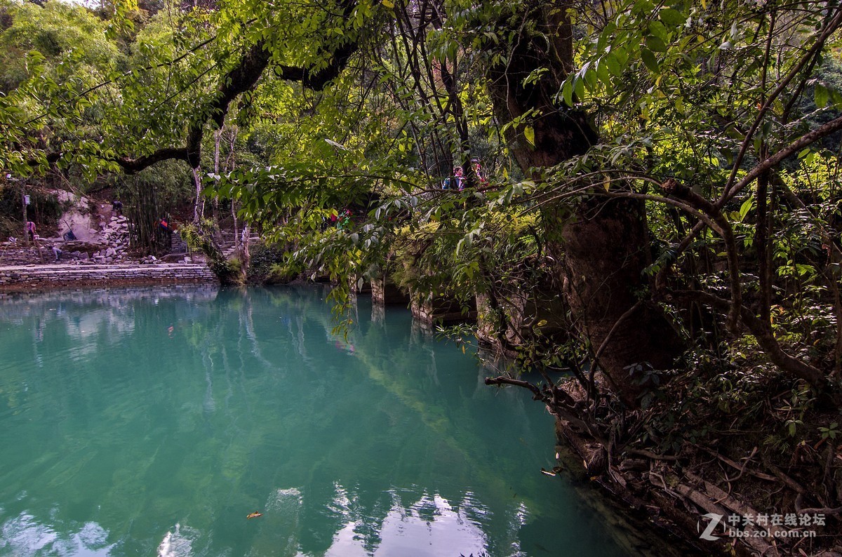 荔波小七孔桥——向老阿老师、北京老孙老师、城南老宋老师学习，向摄友老师们学习。