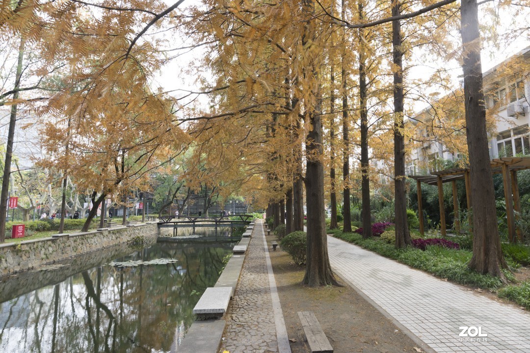 A7 +15-30 同济随拍