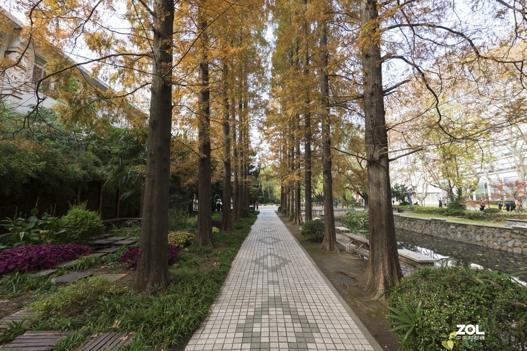 A7 +15-30 同济随拍