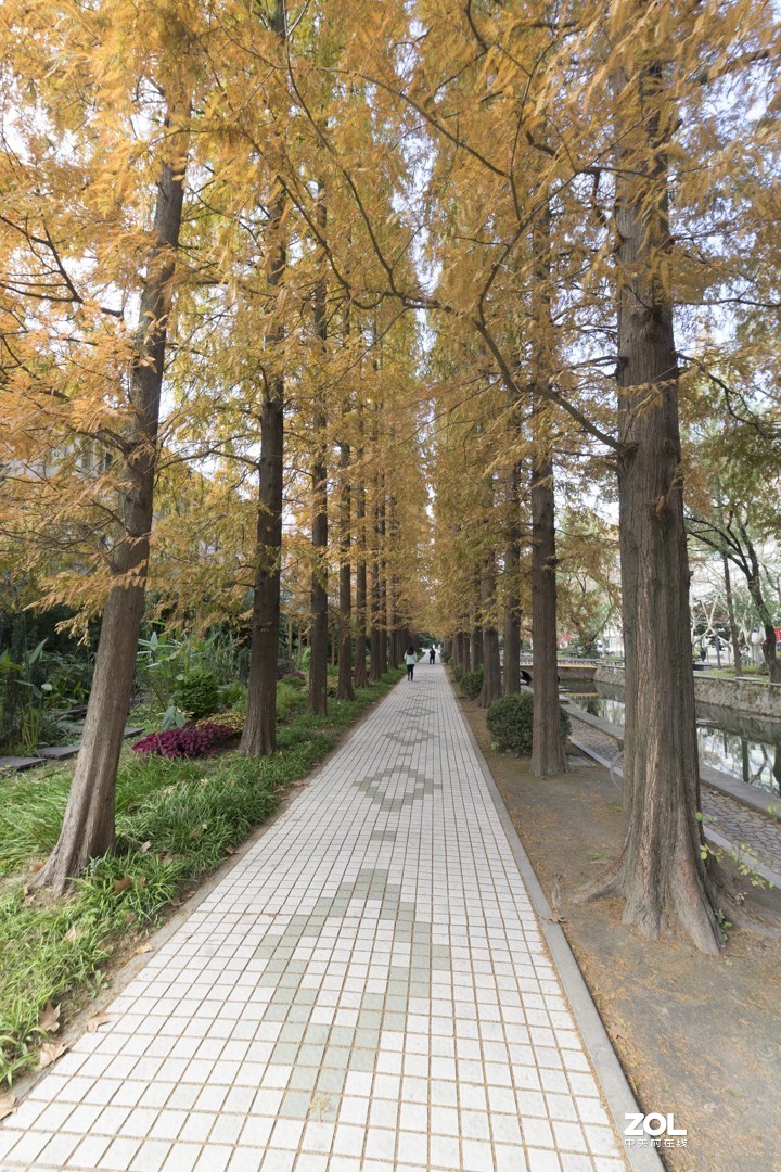 A7 +15-30 同济随拍