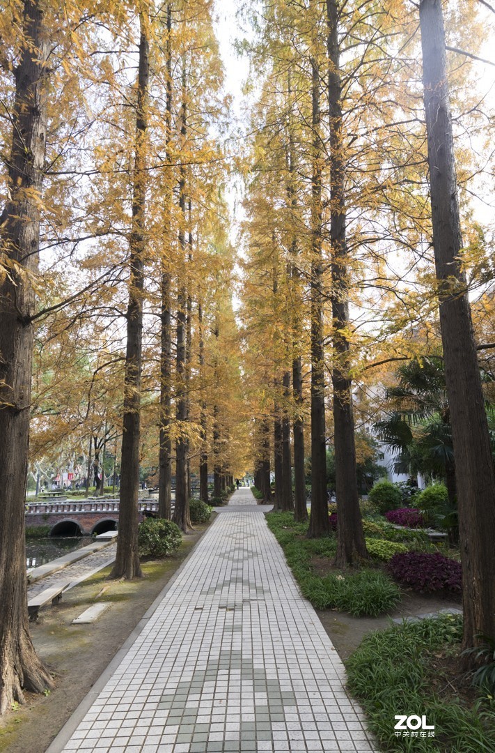 A7 +15-30 同济随拍