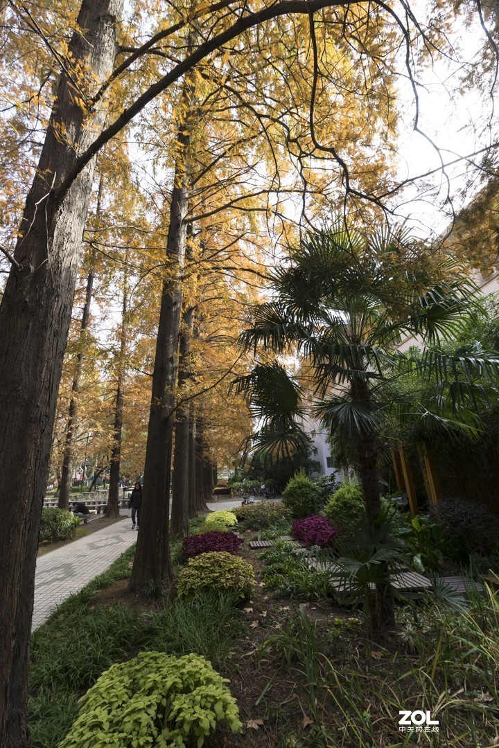 A7 +15-30 同济随拍