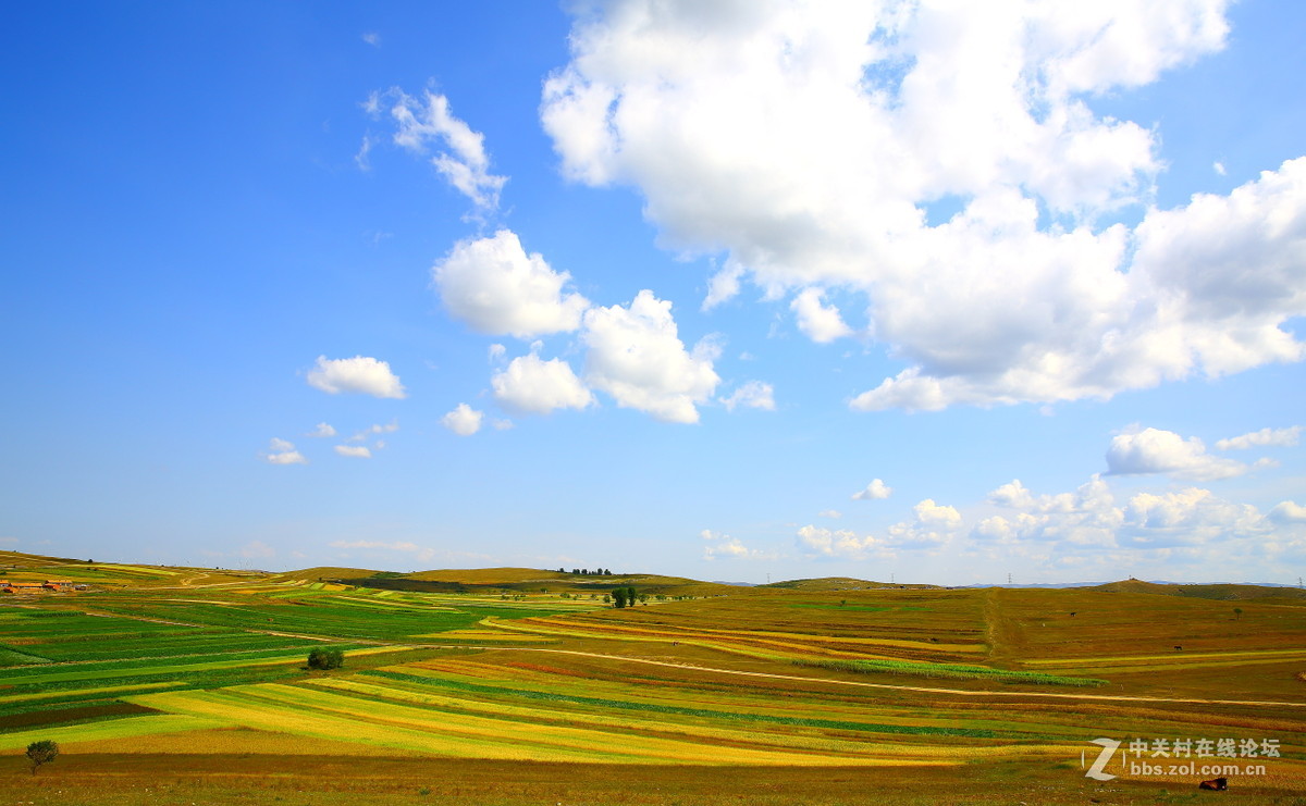 8月29日草原天路行