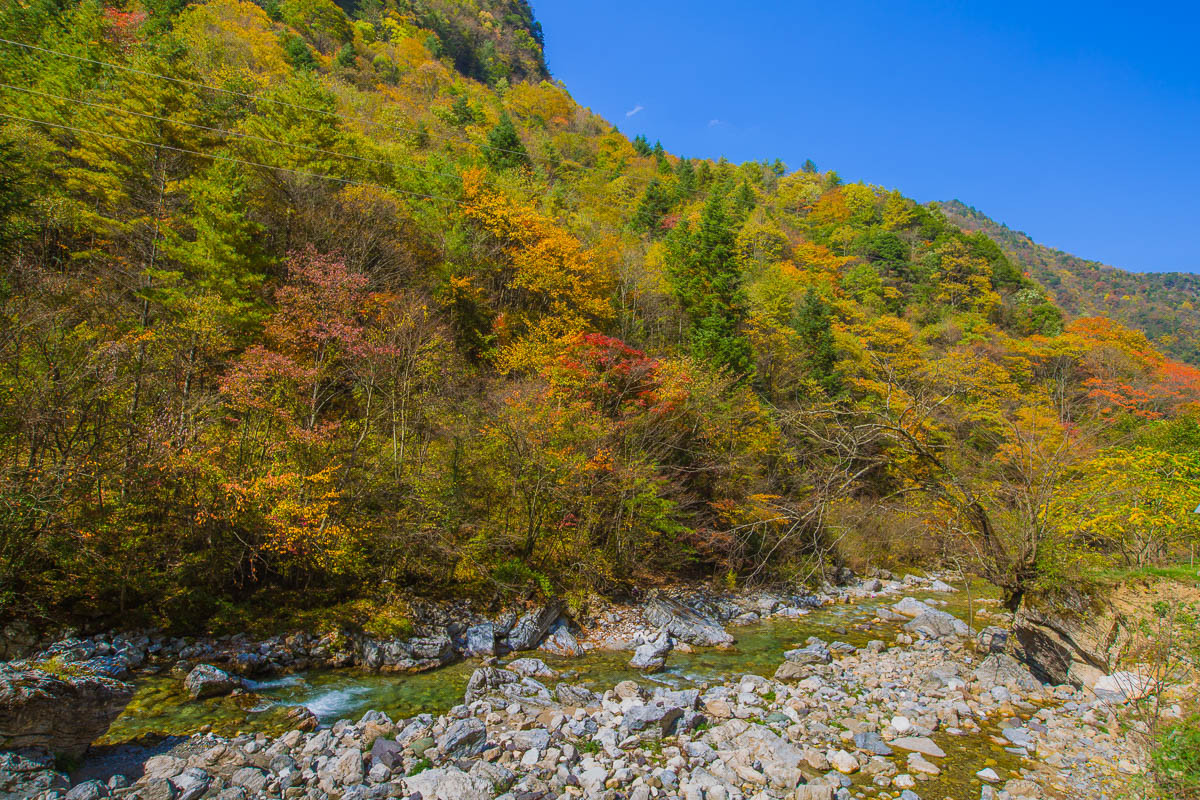 2016-02-01神农架——红坪画廊