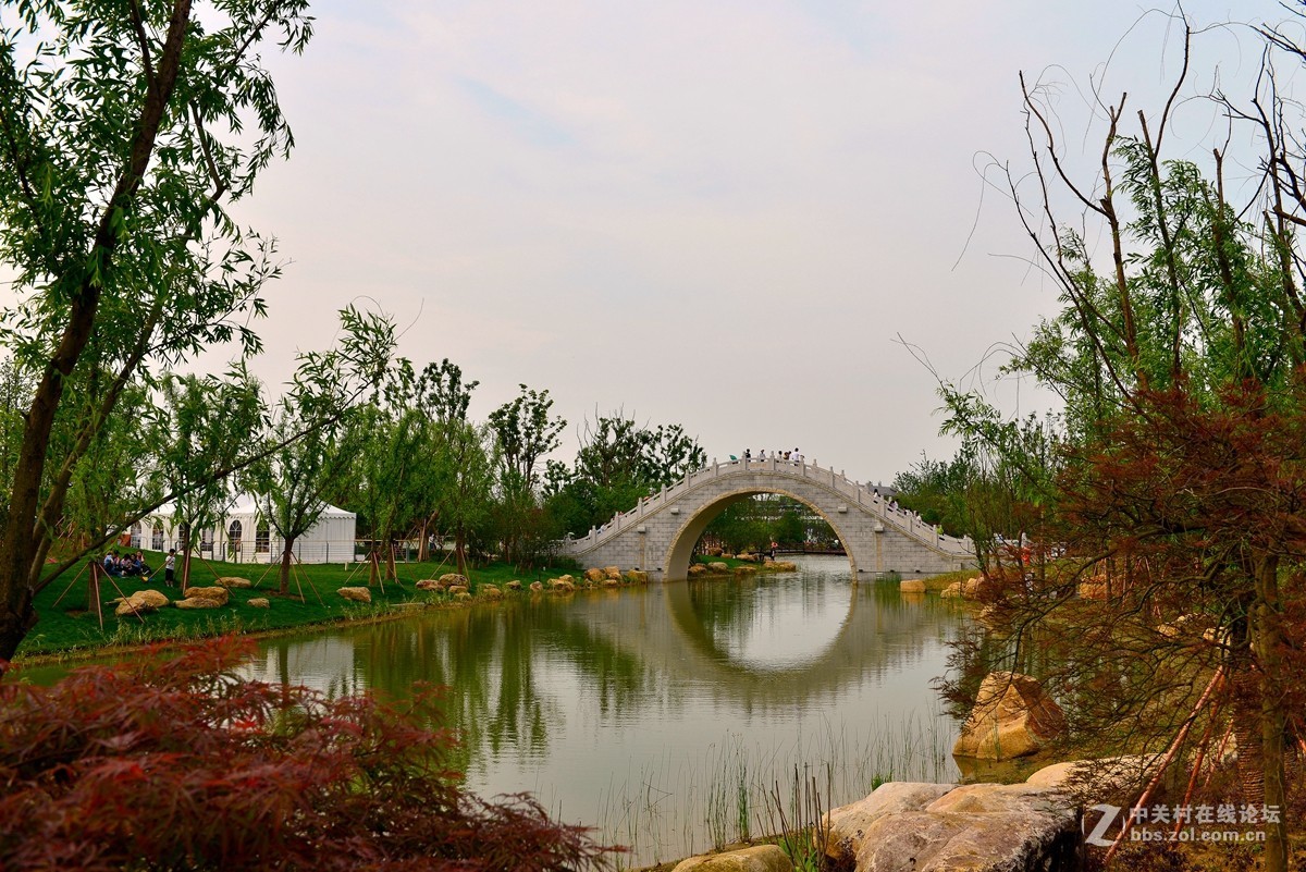 第九届江苏省园艺博览会 3