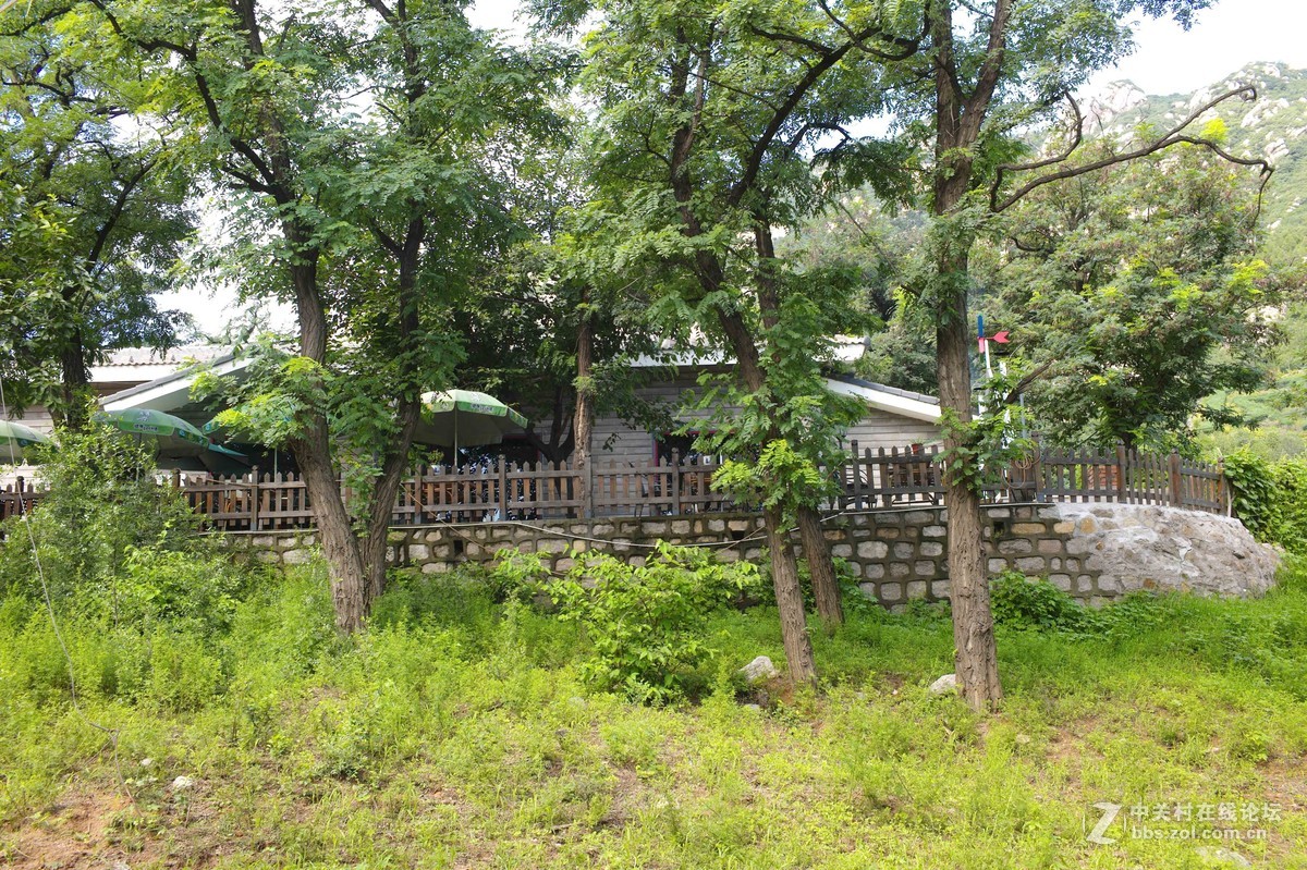 凤凰岭－凤凰公社